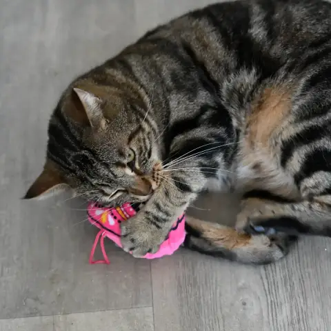 Penelope photo 2