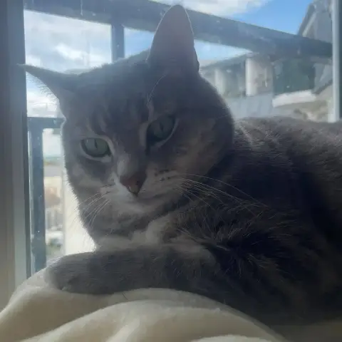Marley