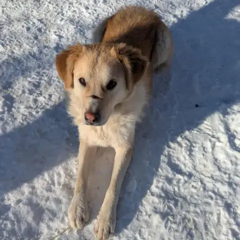 Bella
