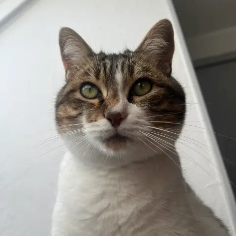 Donald photo 2