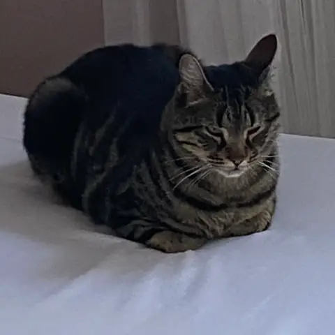 Roméo