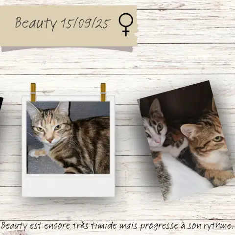 Beauty photo 2