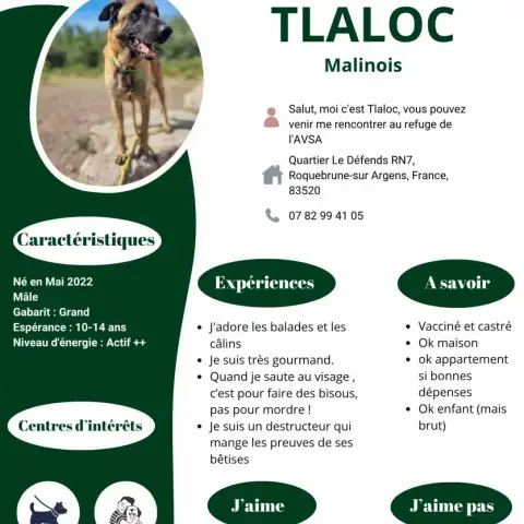 Tlaloc photo 2