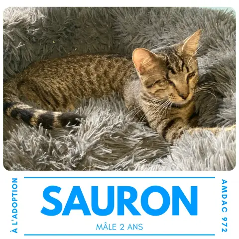 Sauron