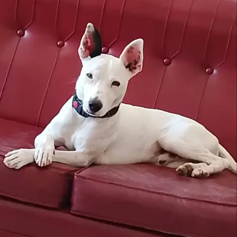 Tayson photo 2