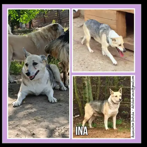 Ina