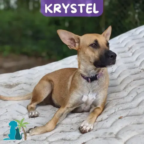 Krystel