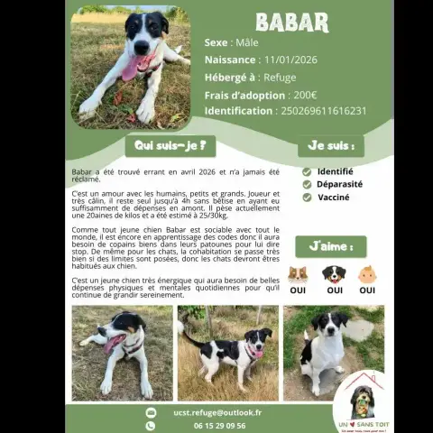 Babar