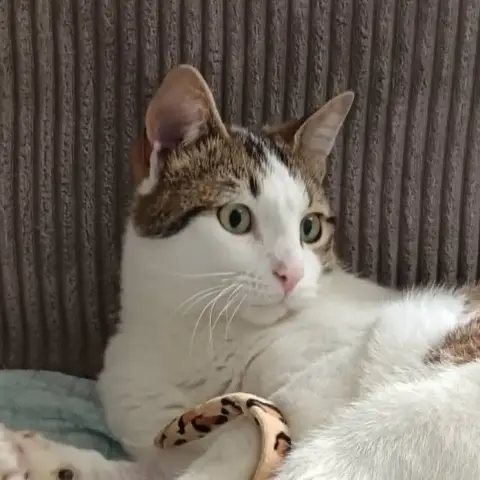 Viktor photo 3