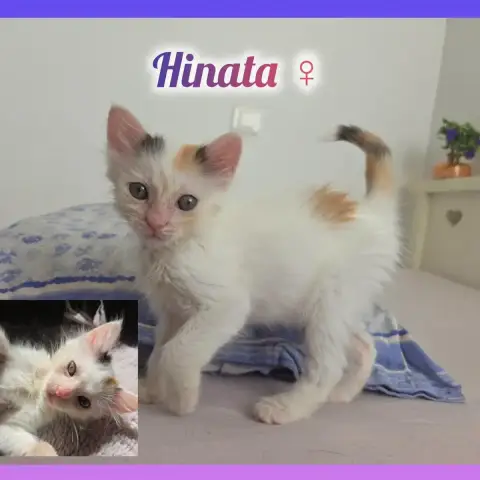 Hinata