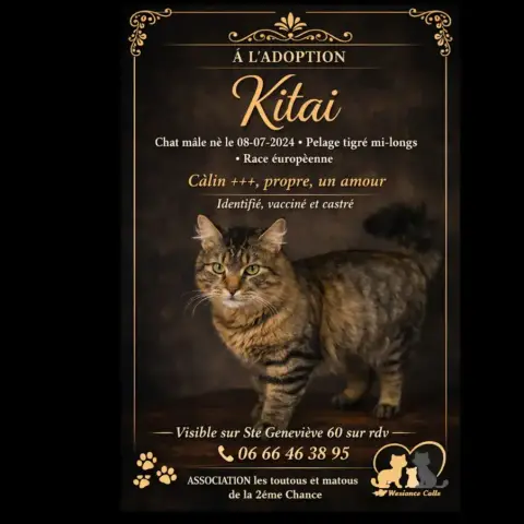 Kitai