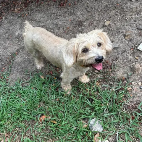 Skippy photo 2