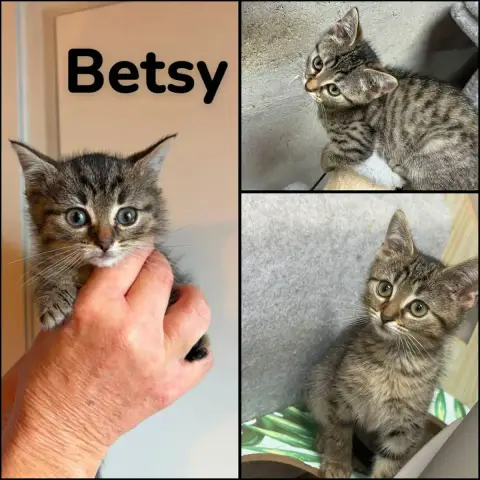 Besty Et Bonnie  Deux Soeurs   A Réserver