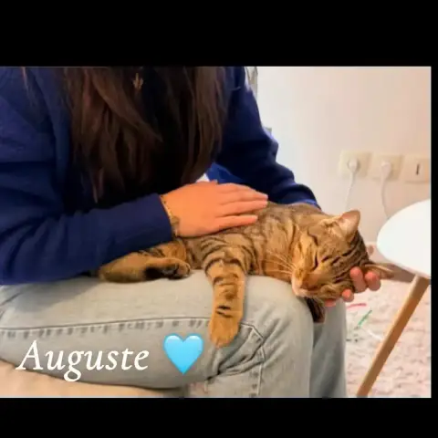 Auguste photo 2