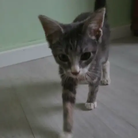 Bayla photo 2