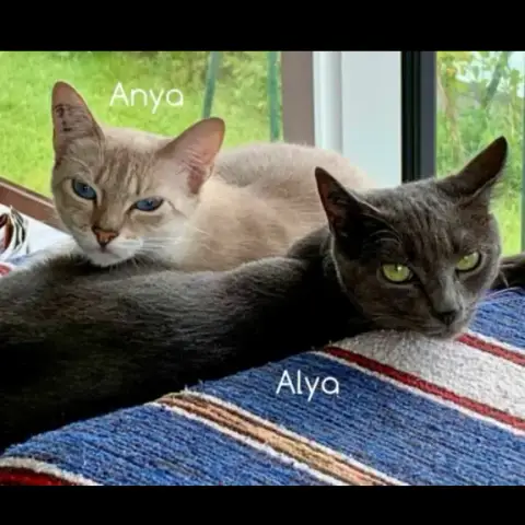 Anya Et Alya photo 3