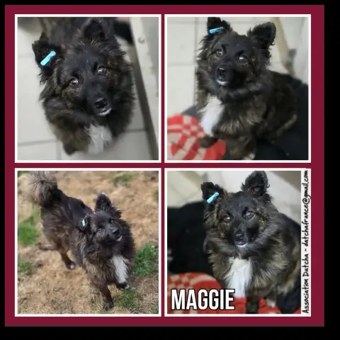 Maggie