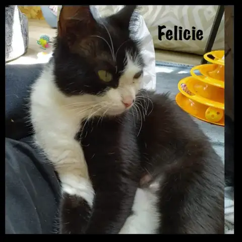Felicie photo 2