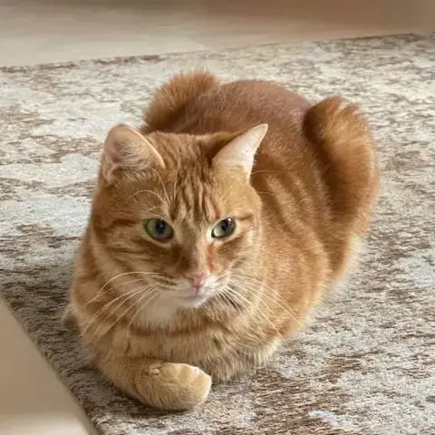 Milo