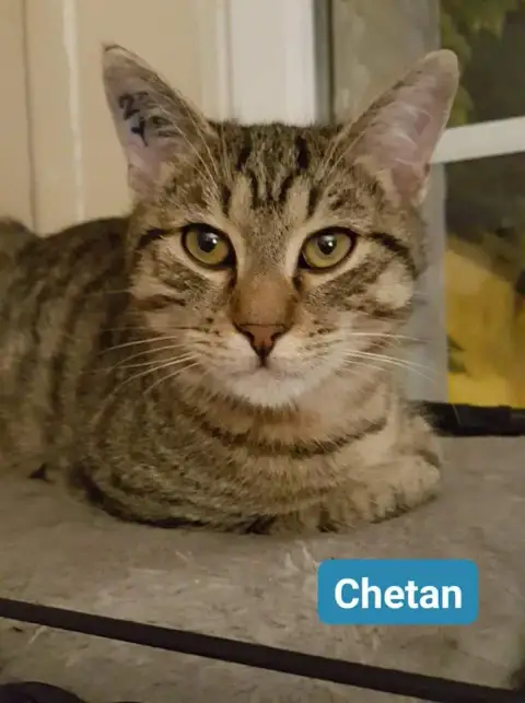 Chetan photo 2