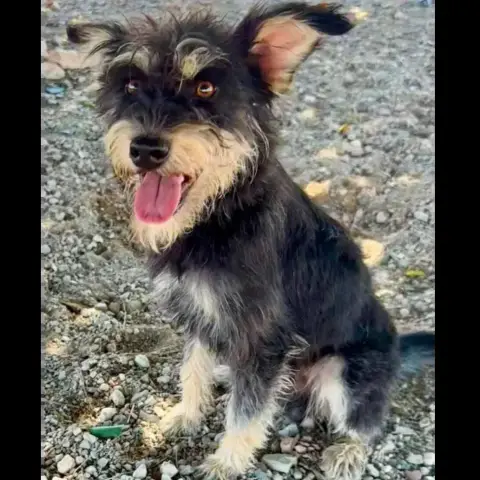 Marcos