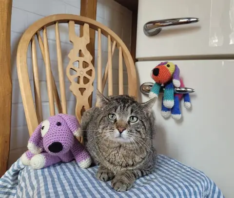 Poupy