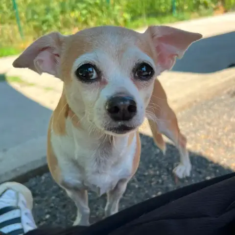 Edna