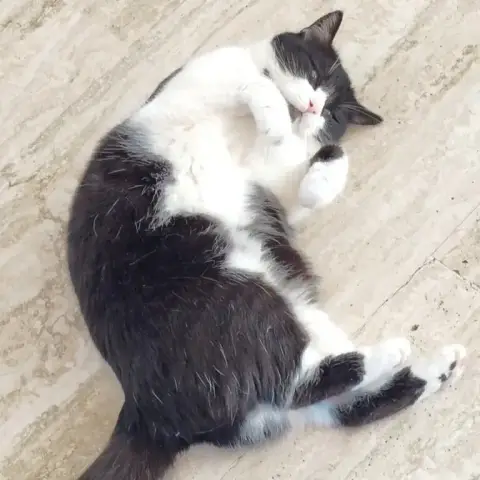 Zoé