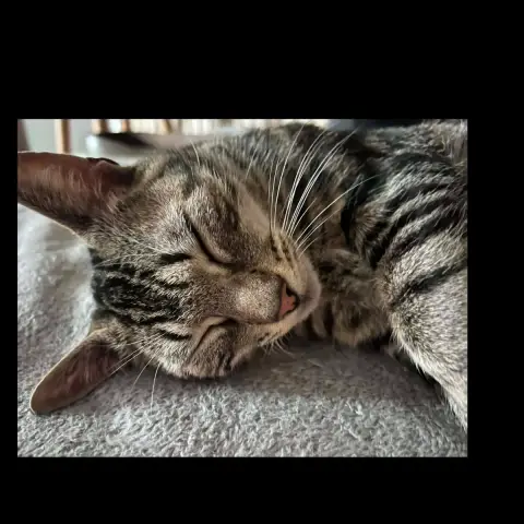 Maggy photo 2