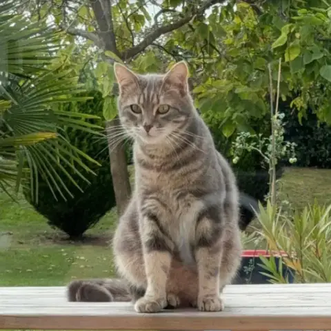 Rio