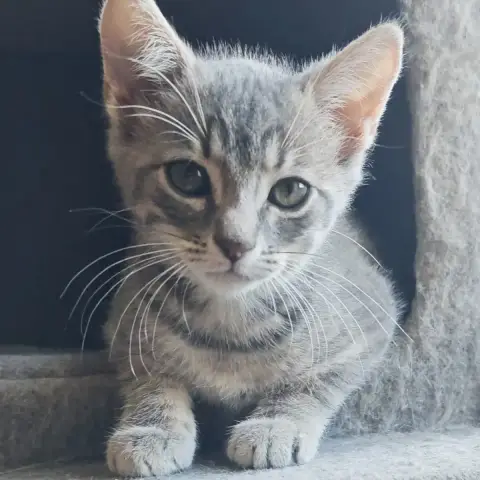 Zina photo 3