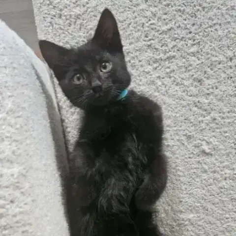 Rio