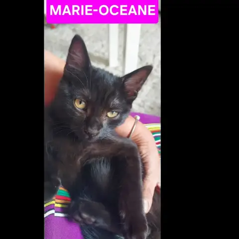 Betty-Lou Et Marie-Oceane photo 3