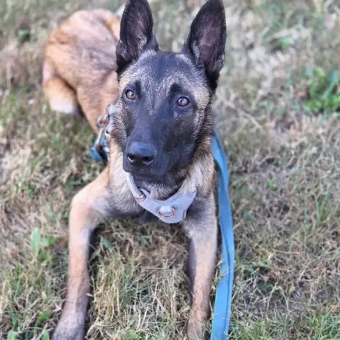 Enko