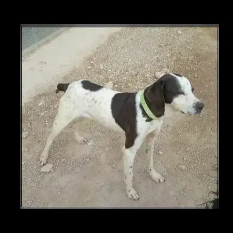 Lola photo 3