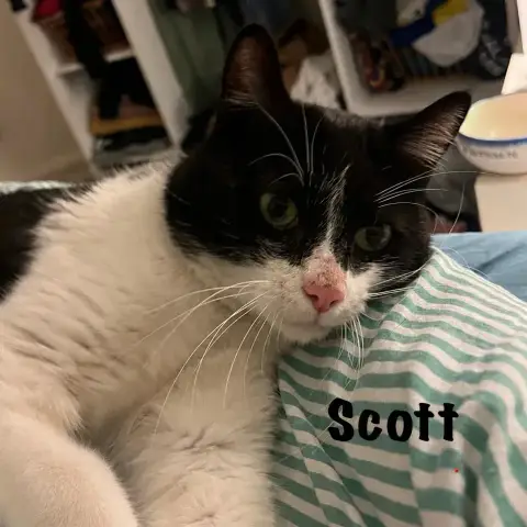 Scott photo 2