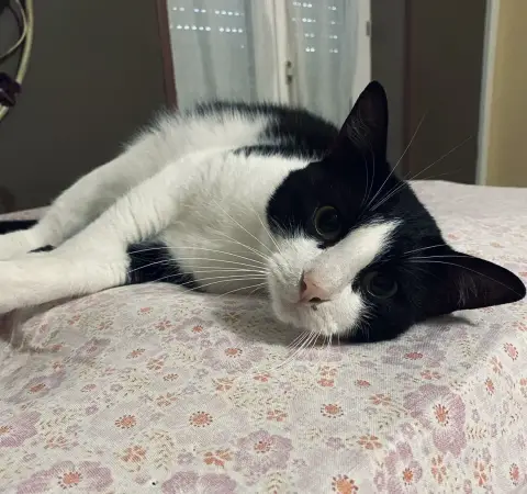 Flynn