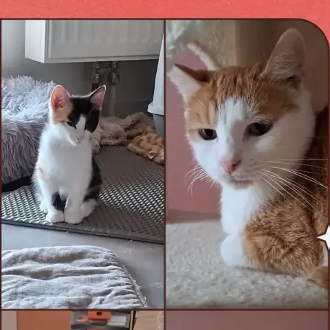 Ruby Et Bella