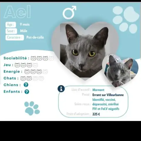 Ael