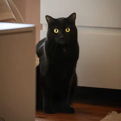 Min
