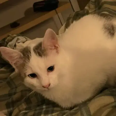 Bouba