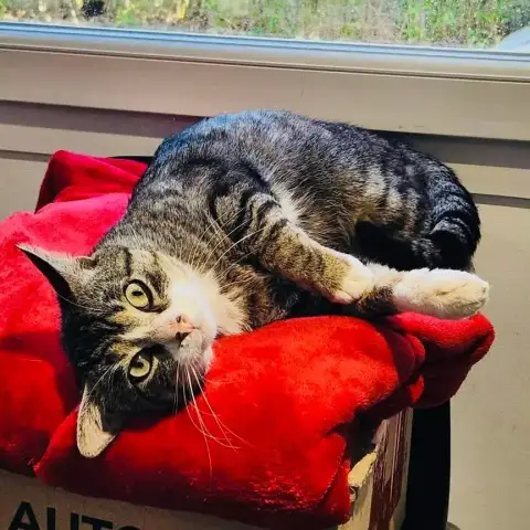 César photo 2