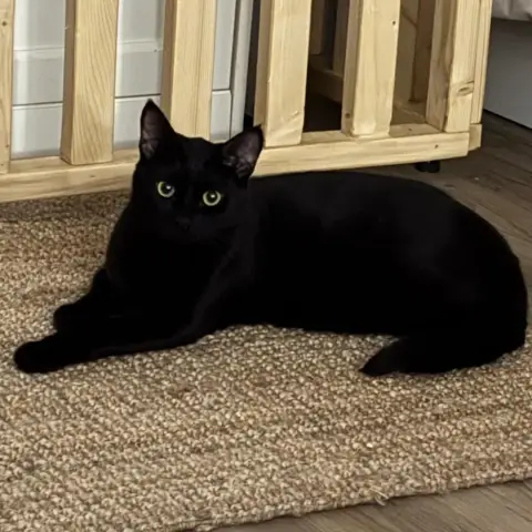 Tom
