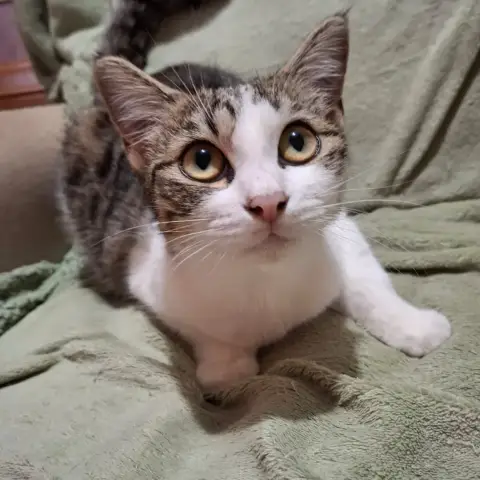 Zoé