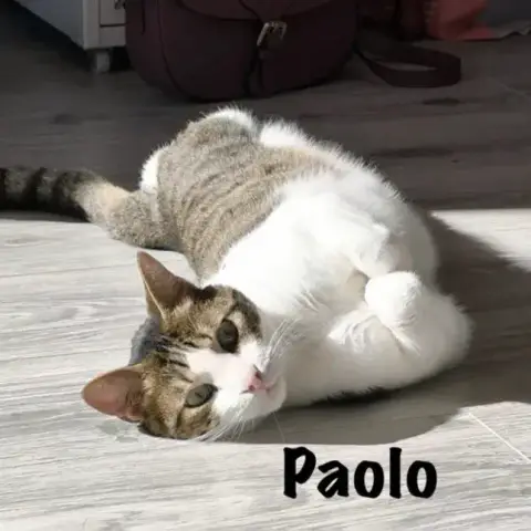 Paolo photo 3