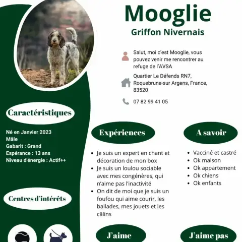 Mooglie photo 2