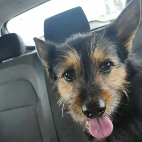 Ti Tang