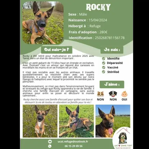 Rocky
