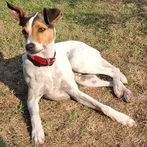 Max photo 2