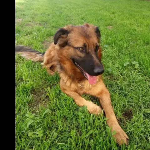 Otto photo 2